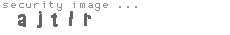 security image