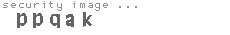 security image