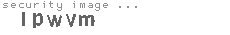 security image