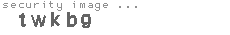 security image