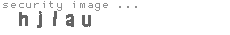 security image