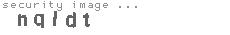 security image