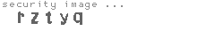 security image