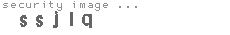 security image