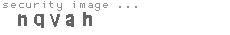 security image