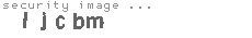 security image