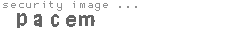 security image