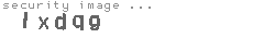 security image