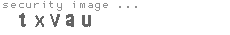 security image