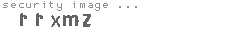 security image