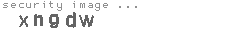 security image