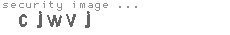security image