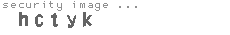 security image