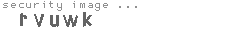 security image