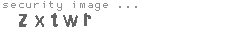 security image