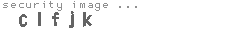 security image