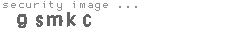 security image