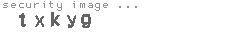 security image