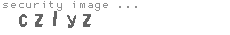 security image