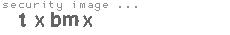 security image