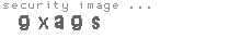 security image