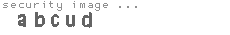 security image