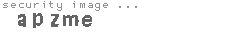 security image