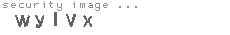 security image