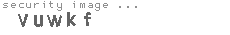 security image