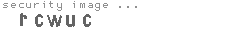 security image
