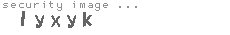 security image