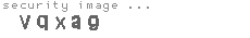 security image