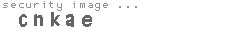 security image