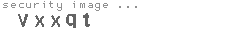 security image