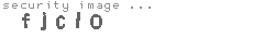 security image