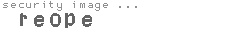 security image