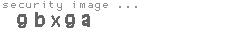 security image