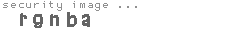 security image