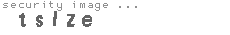 security image