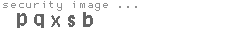 security image