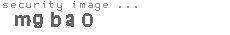 security image