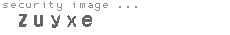 security image