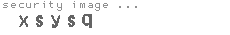 security image