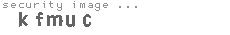 security image