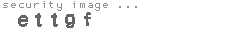 security image