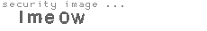 security image