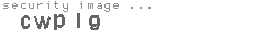 security image