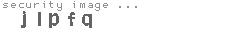 security image
