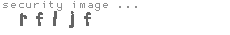 security image