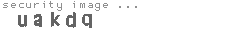 security image